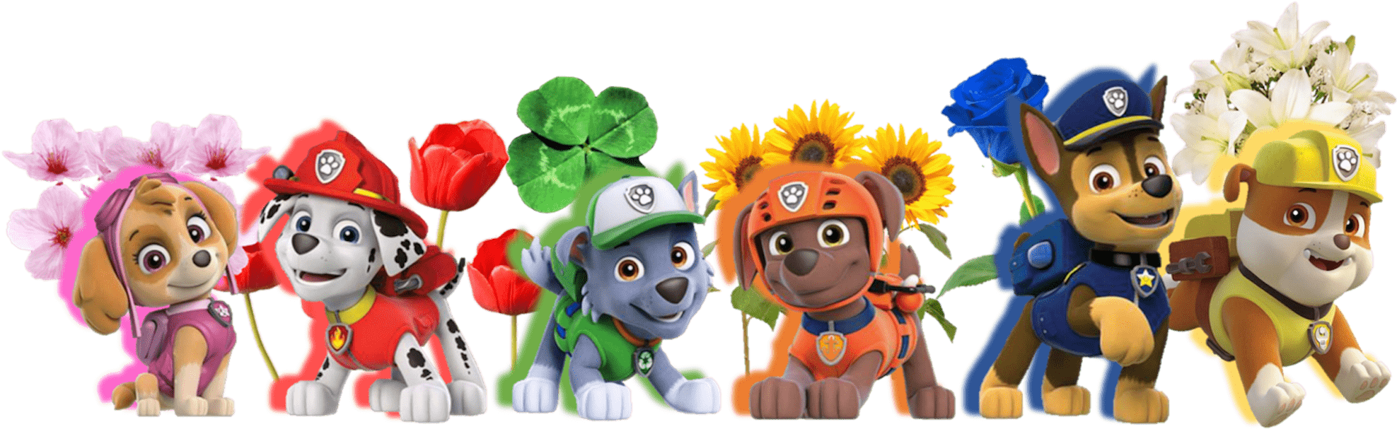 汪汪隊立大功 桌布 壁紙 — 六隻穿著色彩繽紛制服的Paw Patrol小狗，每隻在黑色背景前拿著不同的花或植物。