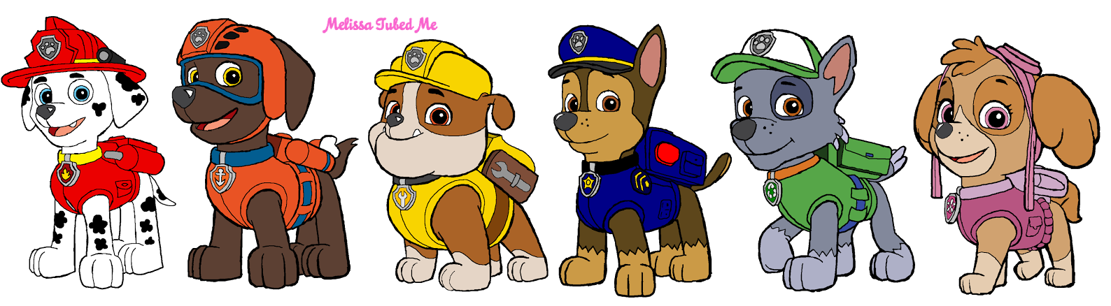 汪汪隊立大功 桌布 壁紙 — 六隻色彩繽紛的Paw Patrol小狗穿著標誌性的救援裝備，在黑色背景前開心地排成一排。