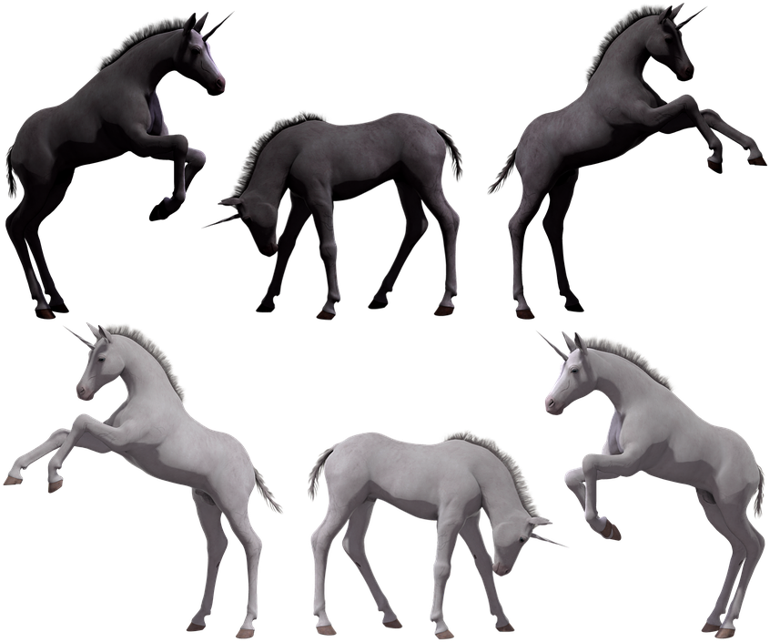 Stallion 桌布 壁紙 — 六隻風格化的獨角獸以各種姿勢呈現在純黑背景上，以單色渲染並帶有柔和陰影。