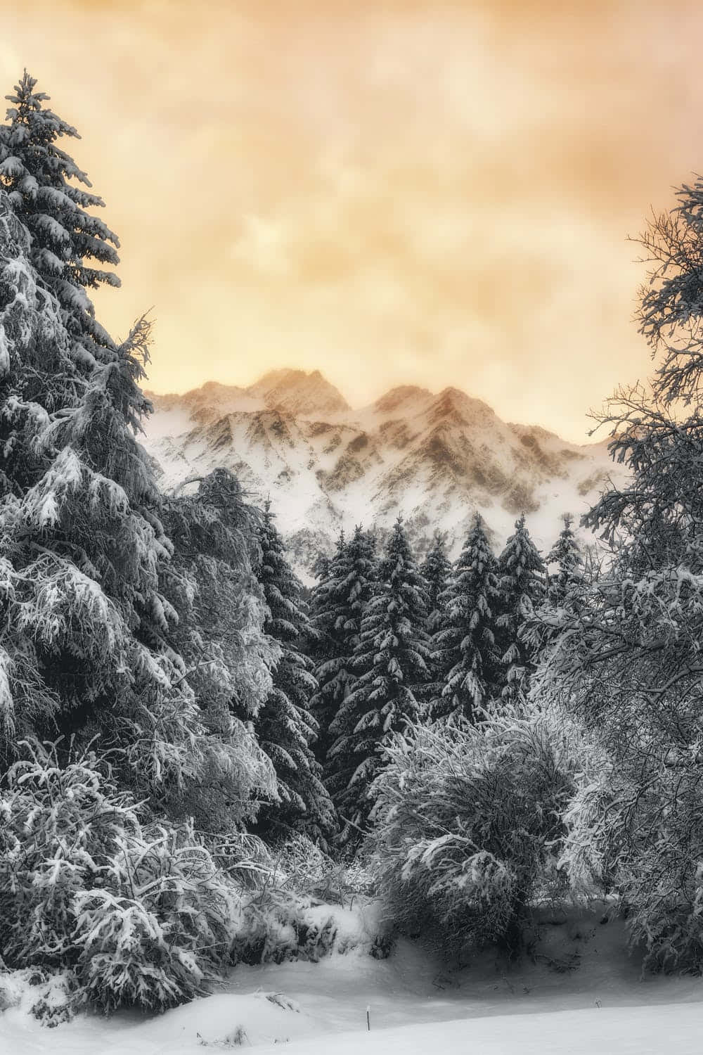 冬季iPhone背景 壁紙