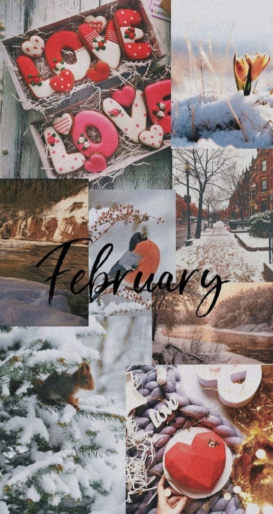February iPhone 桌布 壁紙 — 冬季拼貼畫， featuring 雪景、愛情主題餅乾和雪樹枝上的松鼠。