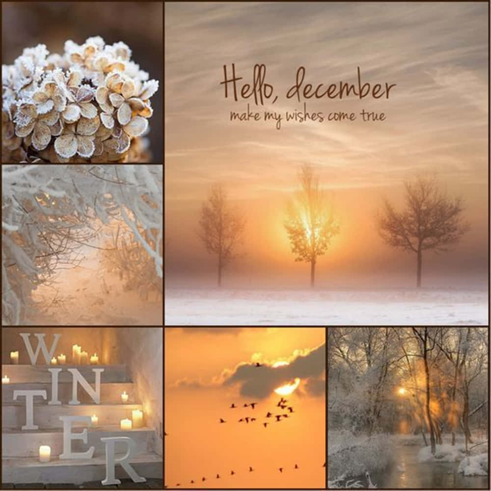 Hello December 桌布 壁紙 — 冬季拼貼畫，包含結霜的繡球花、陽光照耀的雪樹、燭光樓梯拼出冬季、日落時飛翔的鳥兒和白雪覆蓋的河岸。