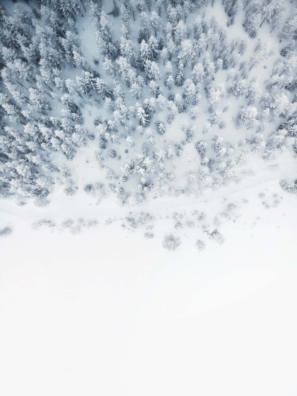 Simple Winter 桌布 壁紙 — 冬季森林中白雪覆蓋的松樹的鳥瞰圖，一條蜿蜒的小徑穿過白色廣闊區域。