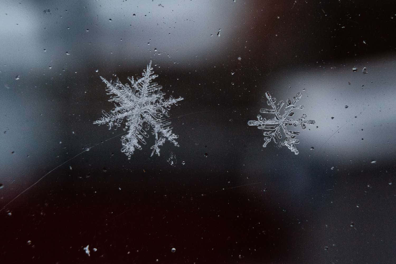 冬季雪花仙境 壁紙