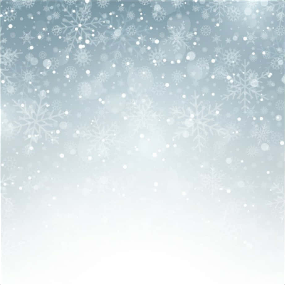 冬季雪花背景 壁紙