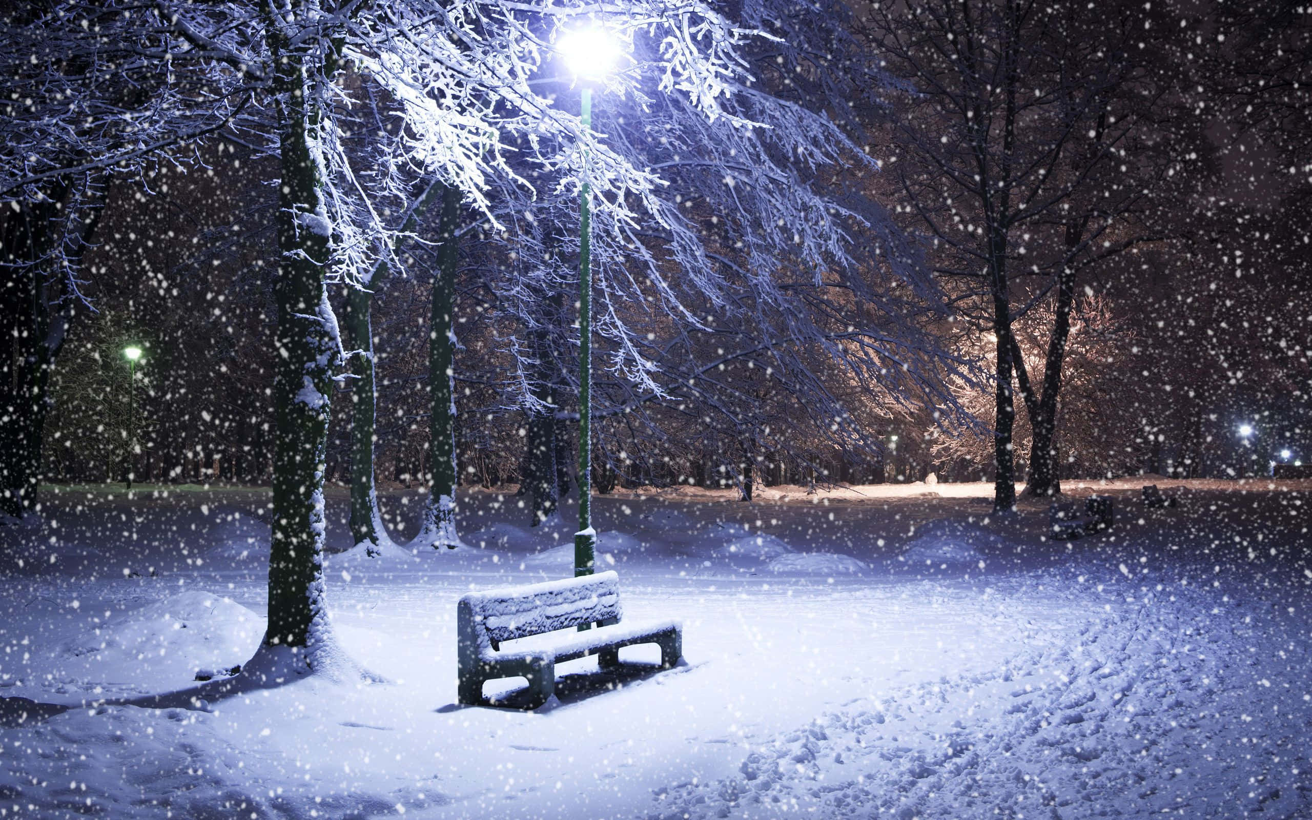 HD Winter 桌布 壁紙 — 冬日公園中，一張孤獨的積雪長凳在街燈下閃耀，雪花輕輕飄落在光禿禿的樹木周圍。