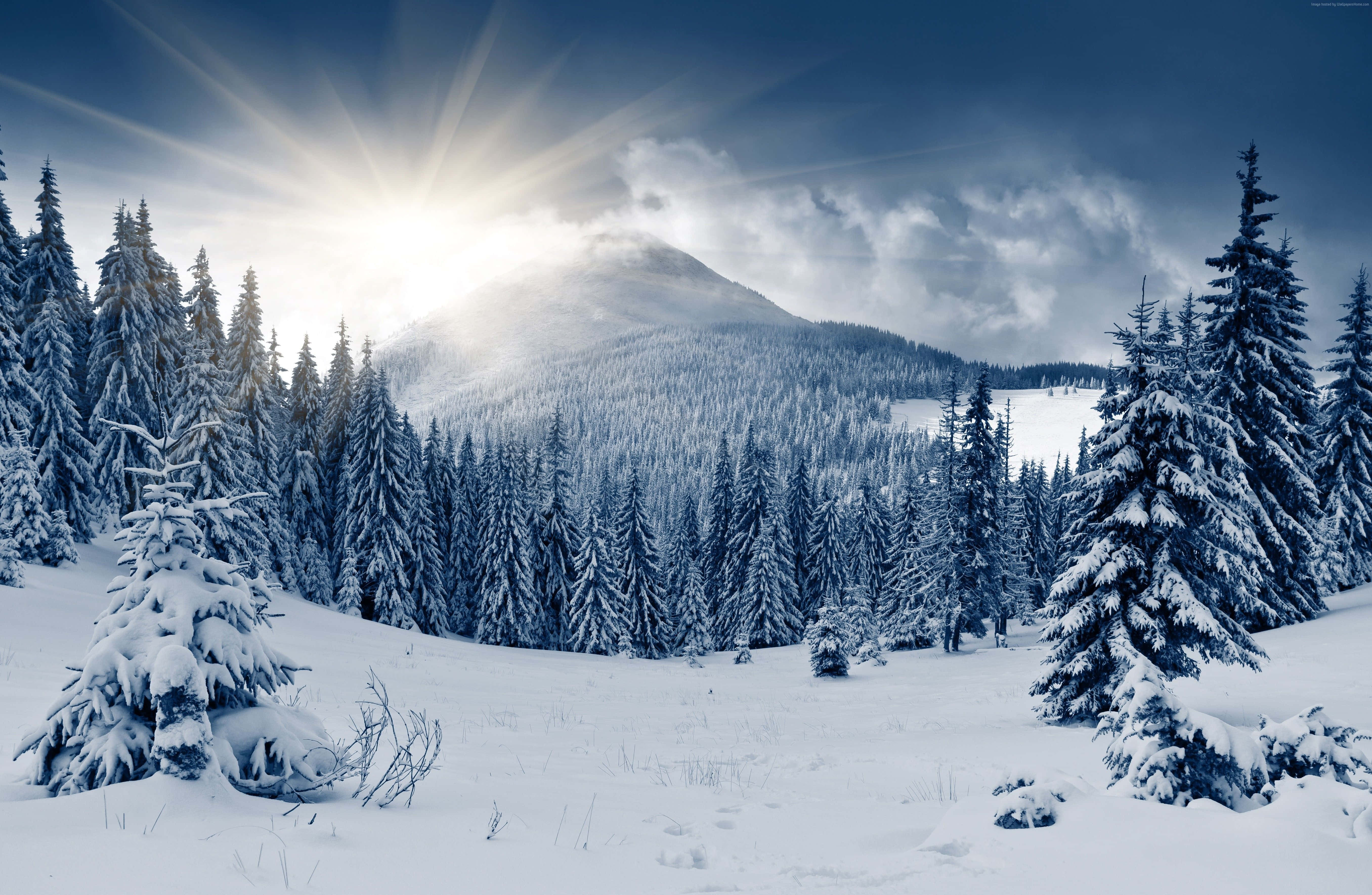 Winter Forest 桌布 壁紙 — 冬日清澈光線中，陽光穿透雲層，照耀在積雪的松林和山脊上。