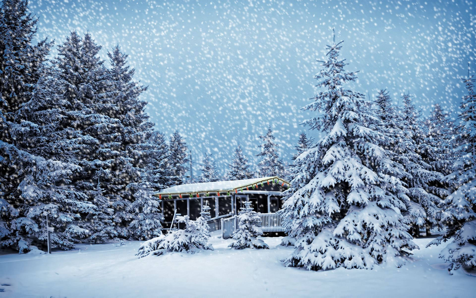  壁紙 — 冬日裡，一間舒適的小屋坐落在積雪的常青樹中，伴隨著輕柔的降雪。
