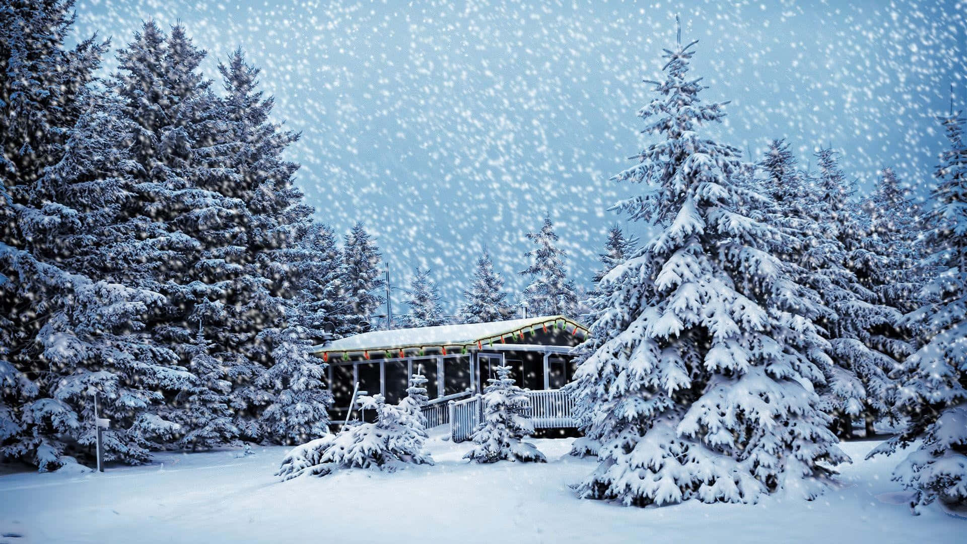 Christmas Snow 桌布 壁紙 — 冬日輕雪下，一間舒適小屋隱藏在積雪的常青樹之間。