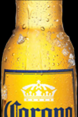 Corona Beer 桌布 壁紙 — 冰凍Corona啤酒瓶的特寫，金色表面上的冷凝水珠閃閃發光。