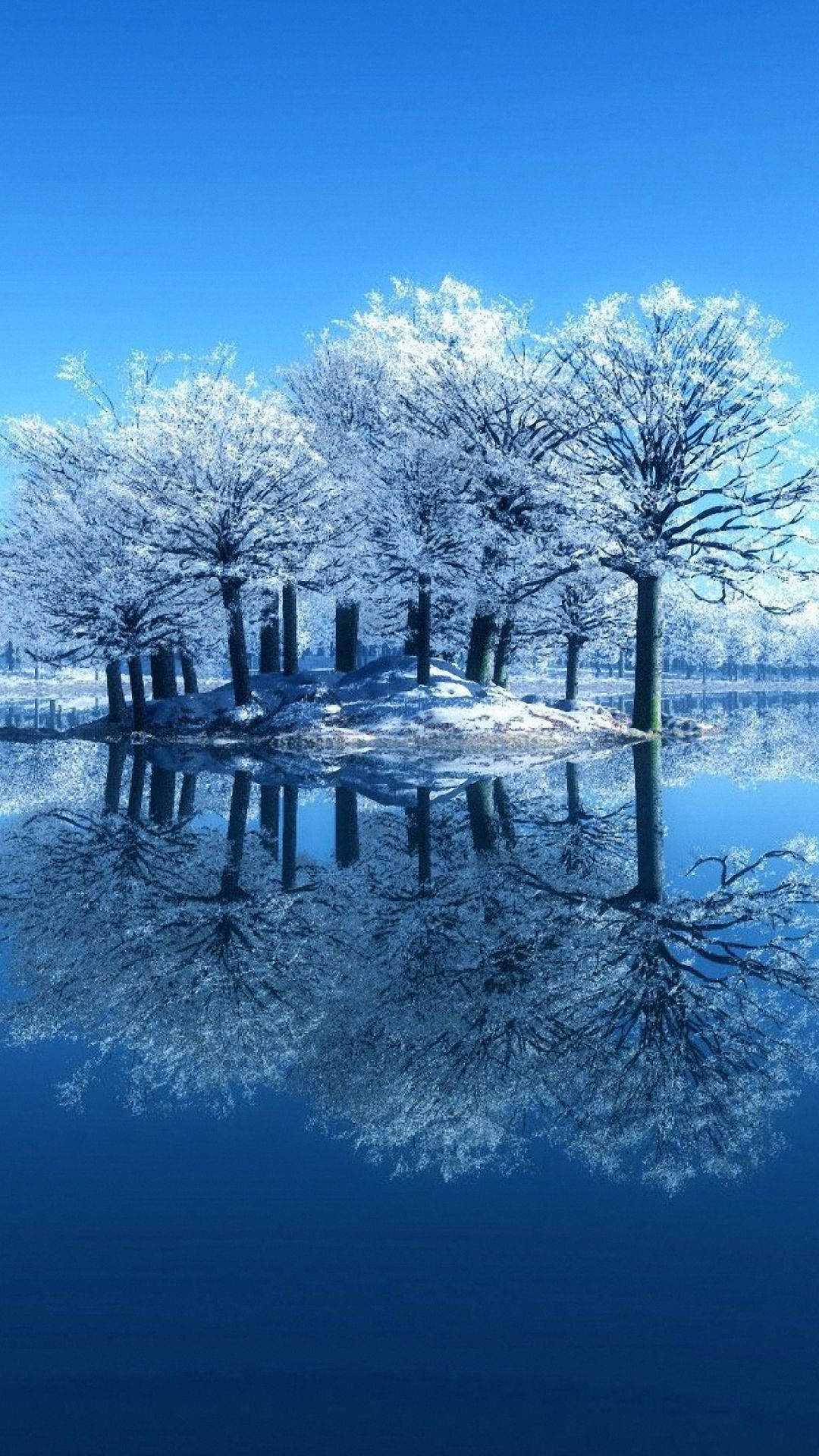 Amazing 桌布 壁紙 — 冰凍島嶼上積雪覆蓋的樹木，在清澈冬日天空下完美倒映在冰藍色水中。