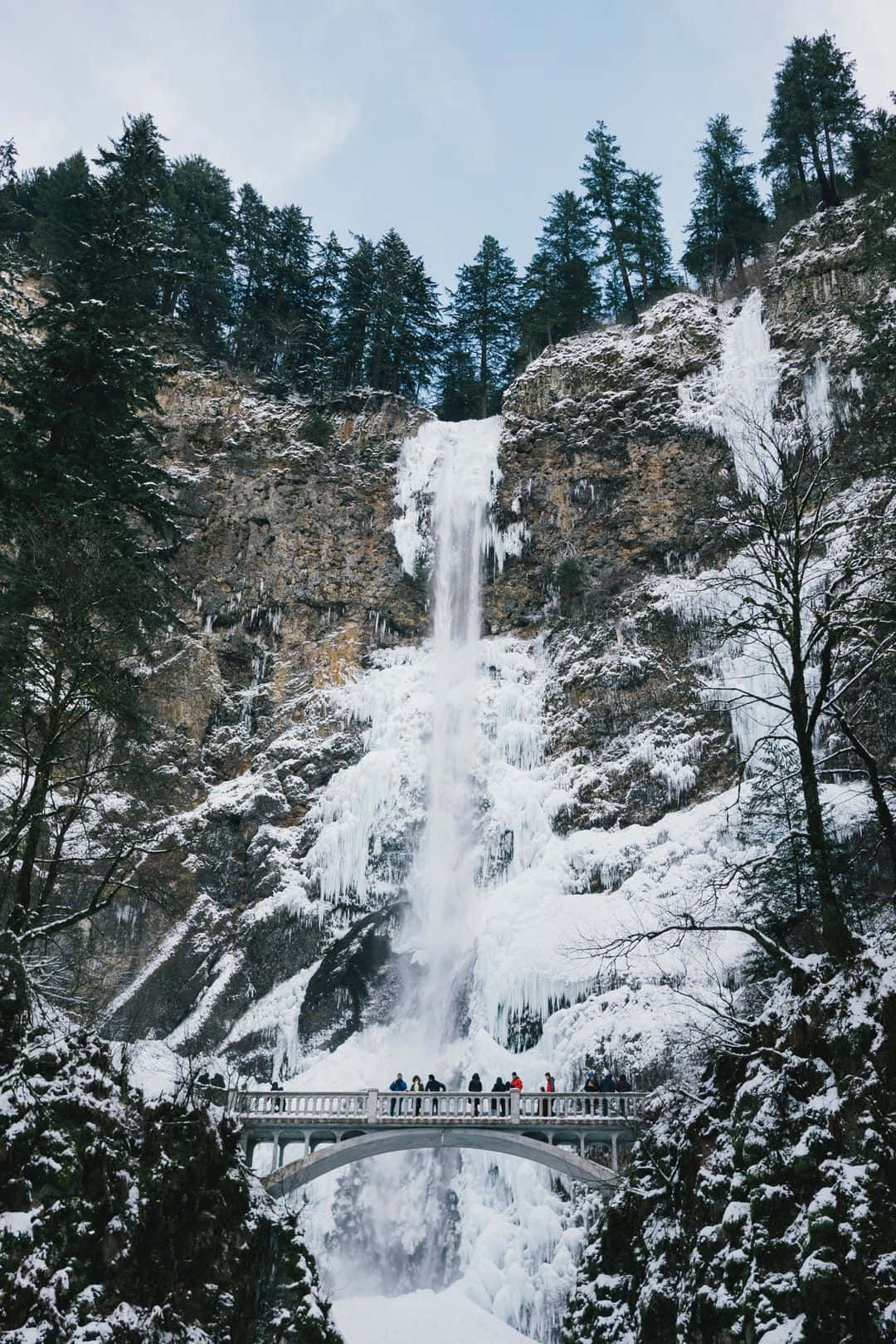 山景 桌布 壁紙 — 冰凍瀑布從積雪懸崖傾瀉而下，人們站在下方的橋上，四周環繞著常青樹。