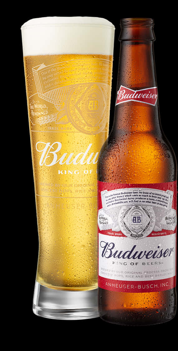 啤酒 桌布 壁紙 — 冰凍的Budweiser啤酒瓶和玻璃杯，在黑色背景上凝結水珠。