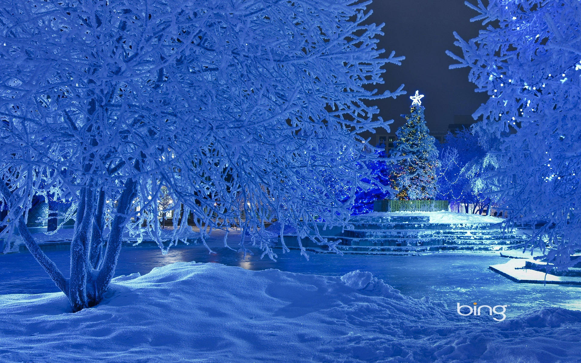 Snowy Christmas 桌布 壁紙 — 冰凍的樹木在藍色燈光下閃耀，白雪覆蓋著節日的冬季公園，遠處有亮燈的聖誕樹。
