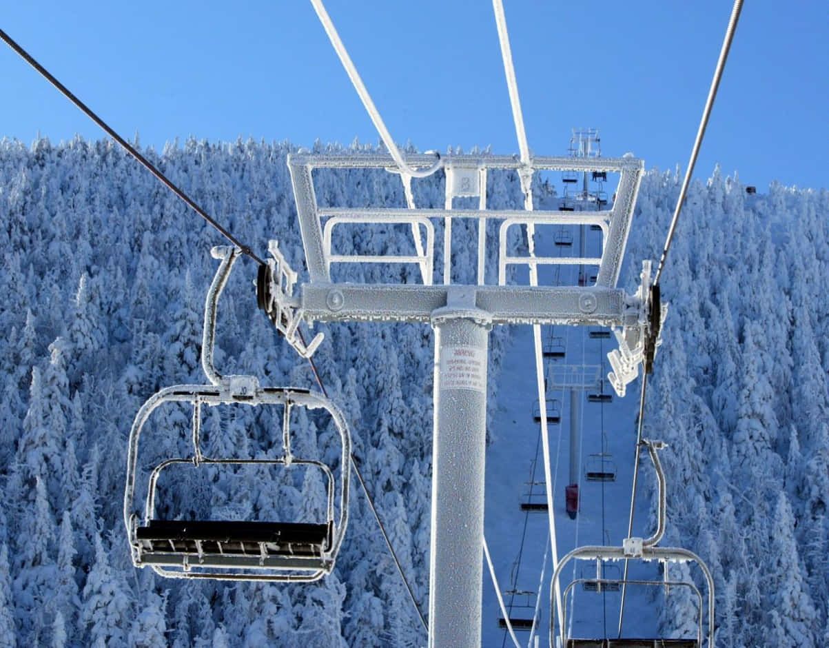 ski 桌布 壁紙 — 冰凍的滑雪吊椅懸掛在白雪覆蓋的松樹背景下，天空清澈湛藍。