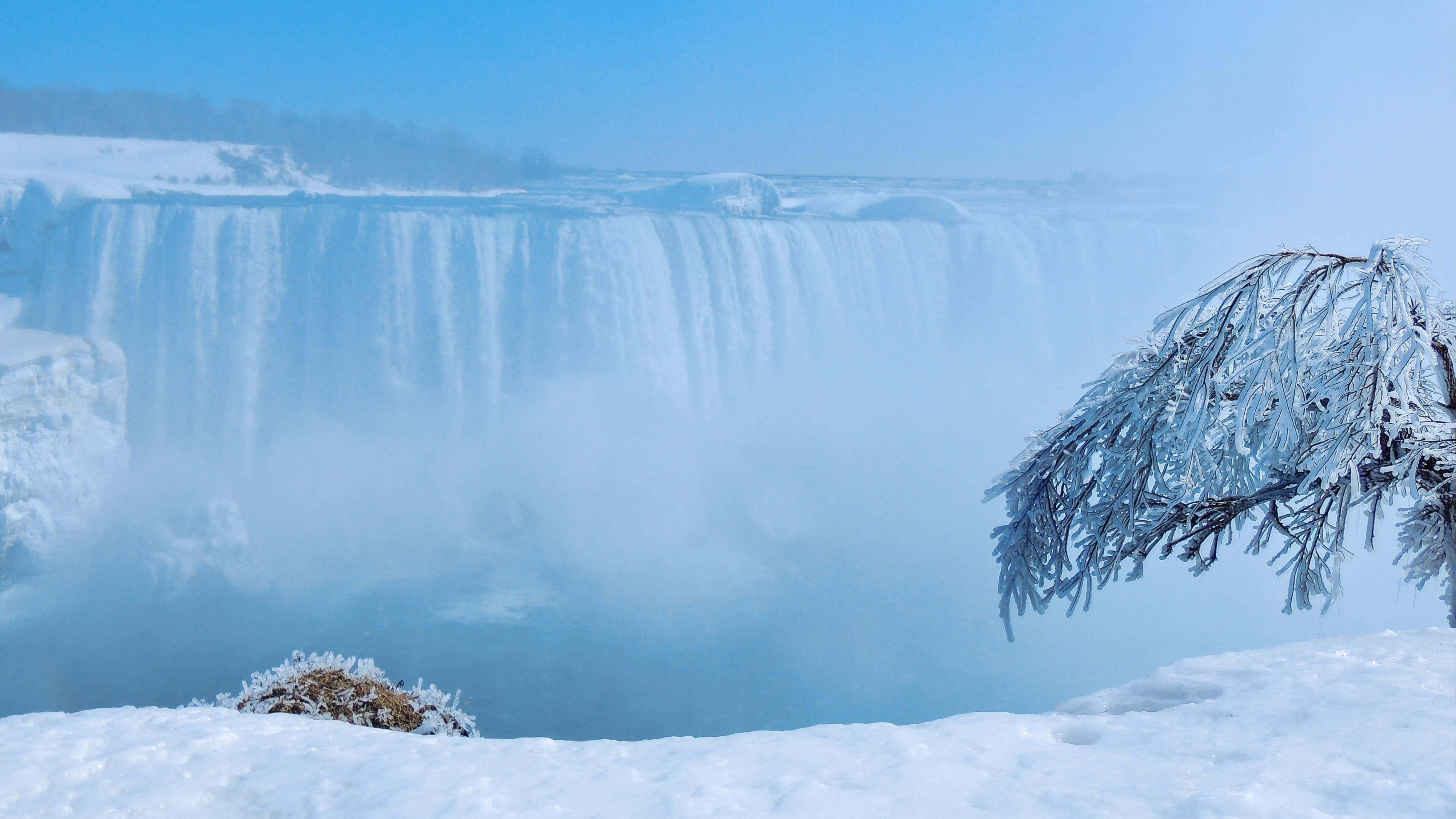 Niagara Falls 桌布 壁紙 — 冰凍的瀑布在清澈的藍天下傾瀉而下，被雪覆蓋的樹枝框住了霧氣瀰漫的景象。