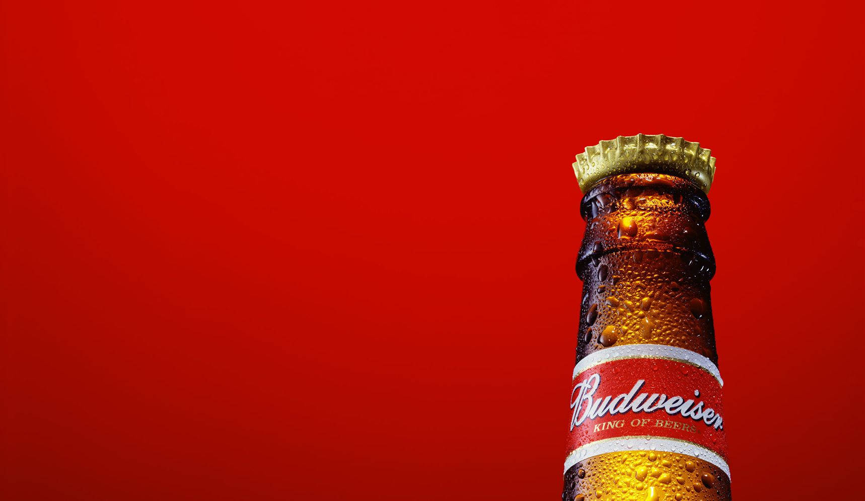 Beer 桌布 壁紙 — 冰凍的百威啤酒瓶上凝結著水珠，在鮮豔的紅色背景上閃閃發光。