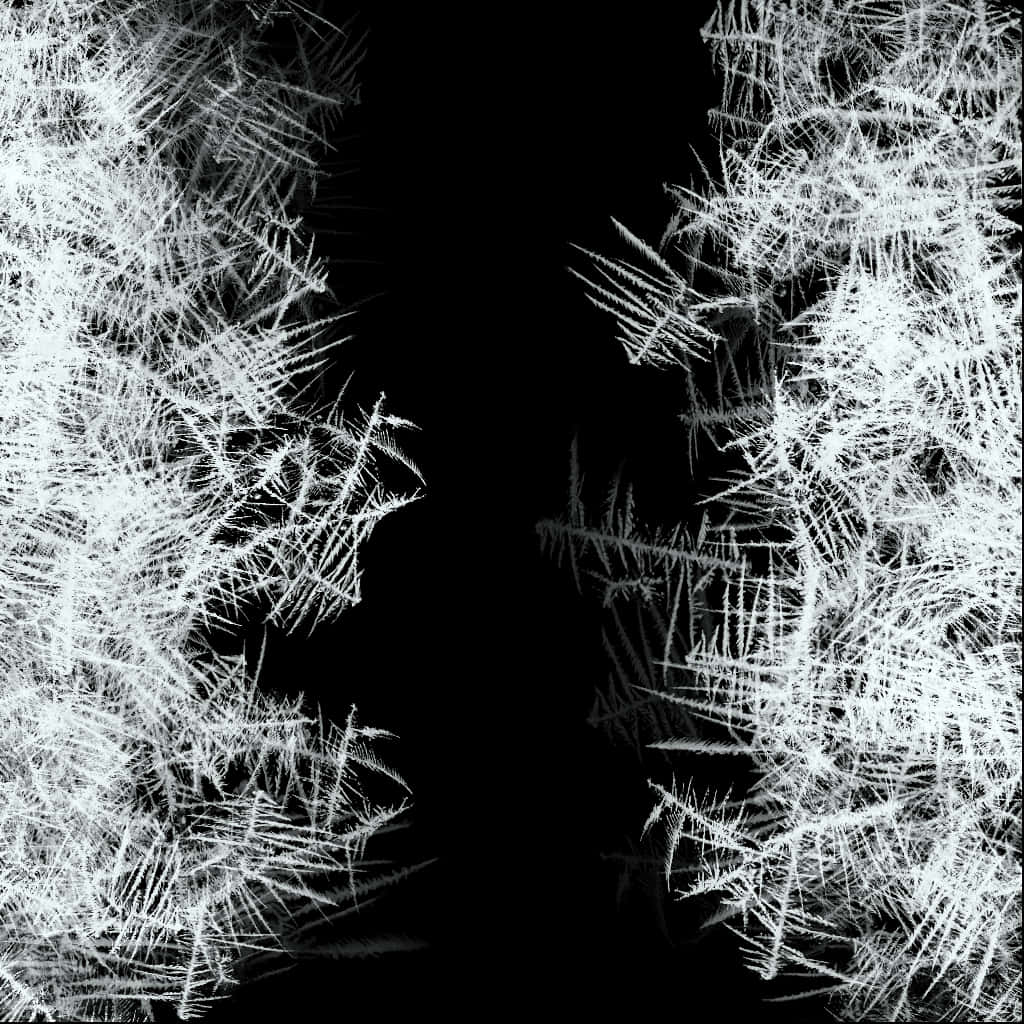 冰晶特寫 壁紙
