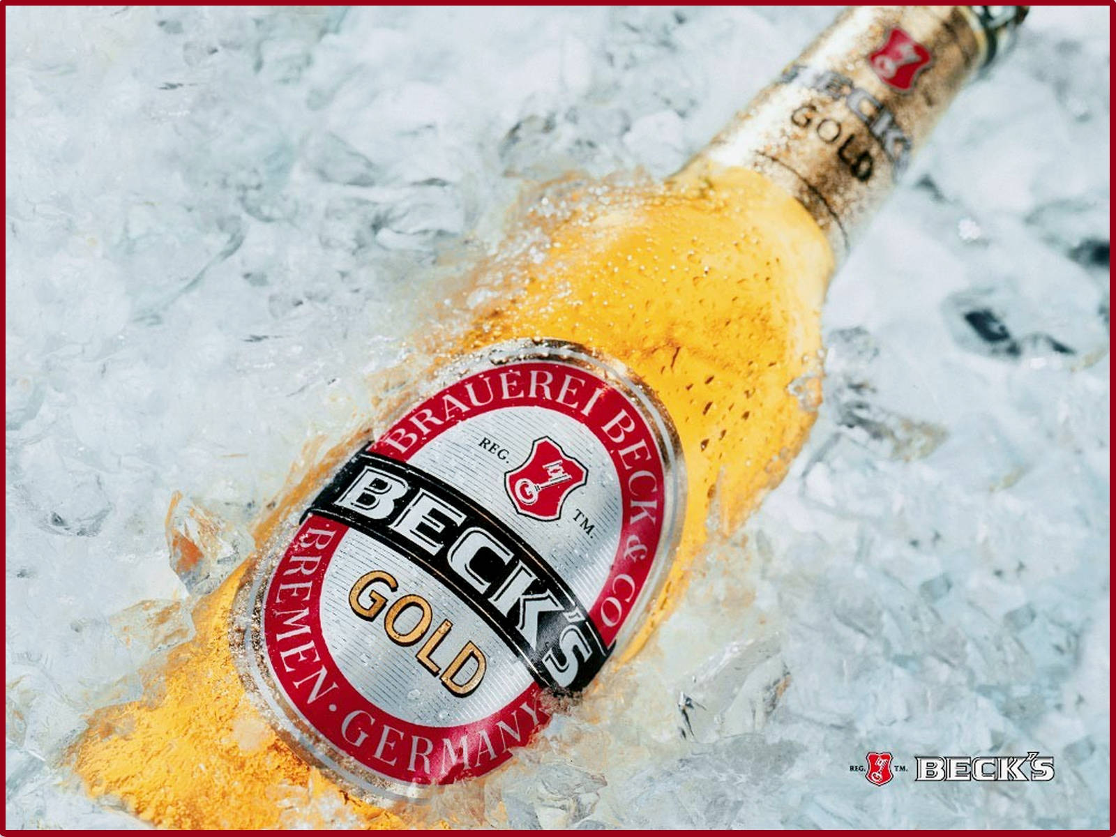 Beer 桌布 壁紙 — 冰涼的 Beck's Gold 啤酒瓶放在碎冰中，琥珀色玻璃上凝結著水滴。