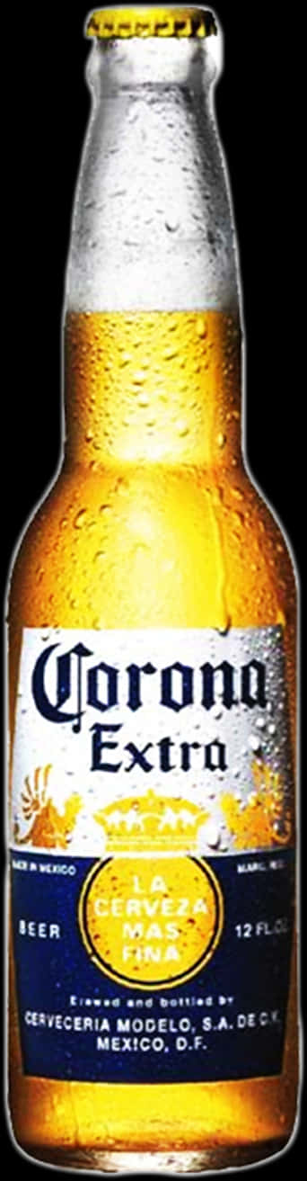 Corona Beer 桌布 壁紙 — 冰涼的Corona Extra啤酒瓶在純黑背景上閃爍著冷凝水珠。