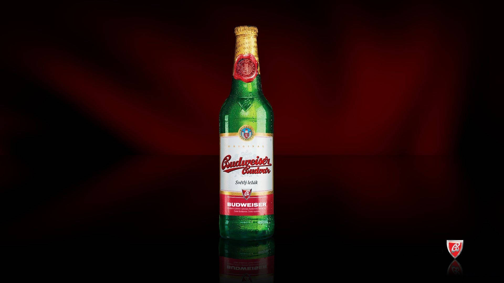 Beer 桌布 壁紙 — 冰涼的綠色Budweiser Budvar啤酒瓶在聚光燈下閃耀，背景為深紅色漸層及反射表面。