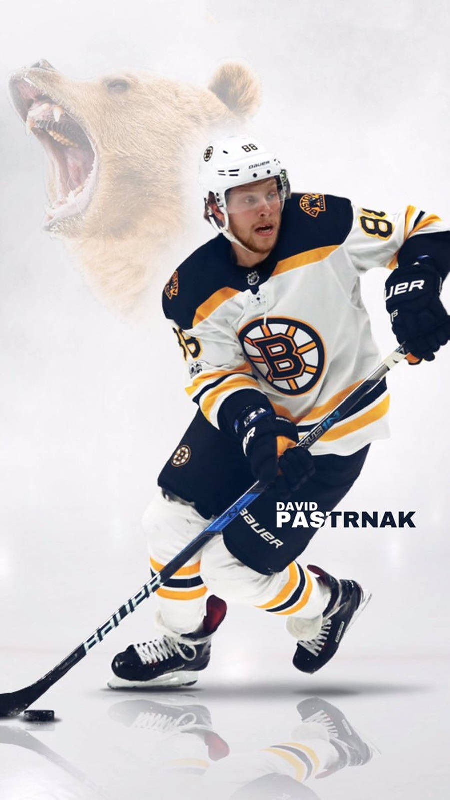 david pastrnak 桌布 壁紙 — 冰球運動員 David Pastrnak 身穿棕熊隊裝備，在反光的冰場上向前衝刺，身後有一隻咆哮的熊頭。