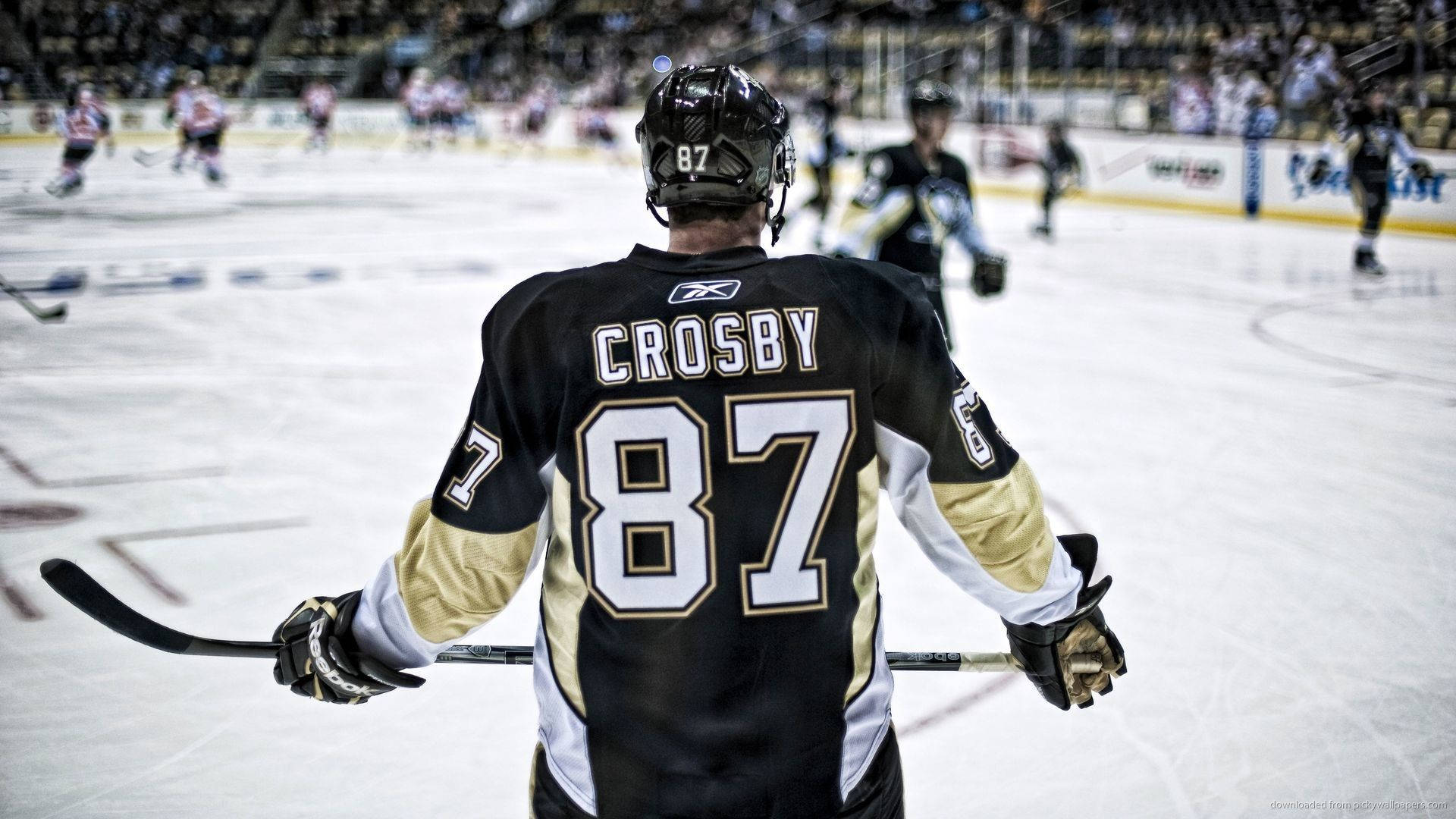運動 桌布 壁紙 — 冰球運動員Crosby 87號站在冰場上，手持球棍，背景是場館觀眾。