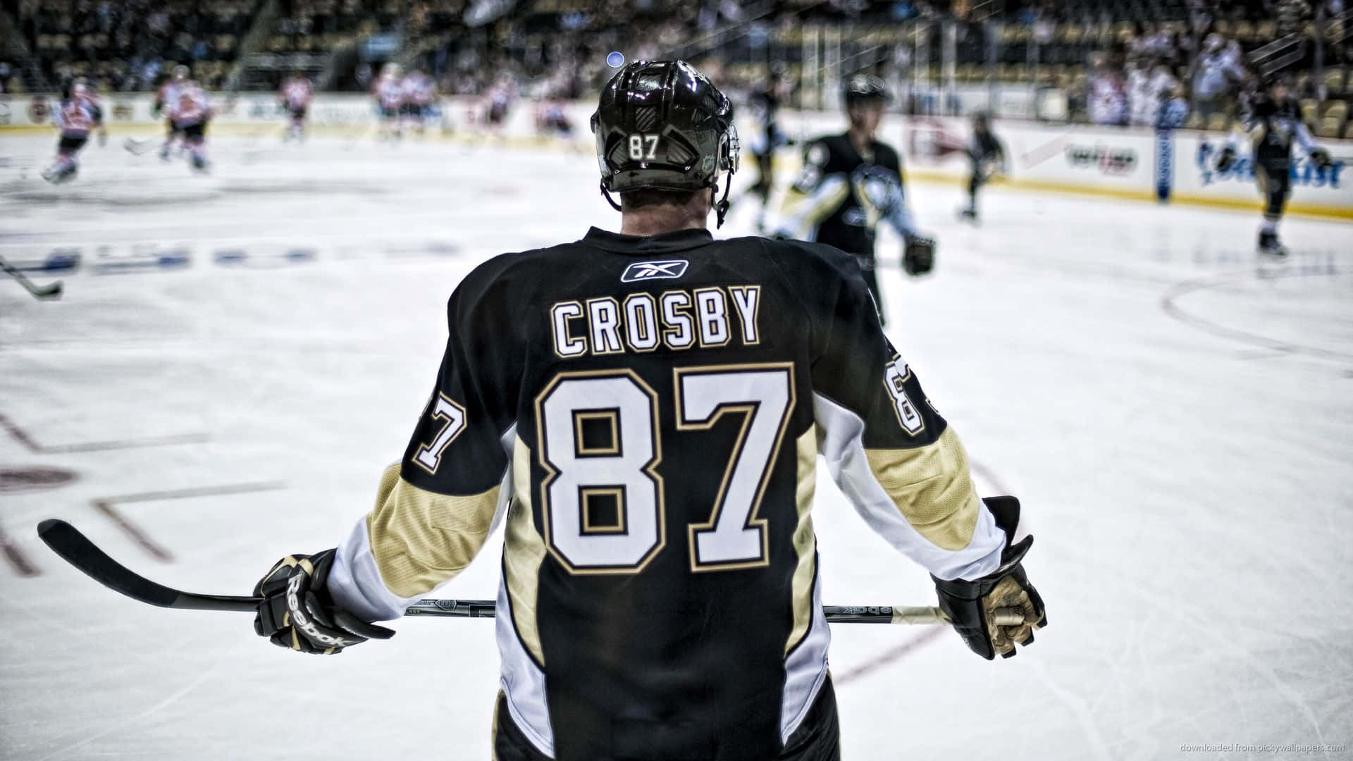 hockey 桌布 壁紙 — 冰球運動員Crosby 87號站在冰上，手持球桿面向球場，背景有模糊的隊友和人群。