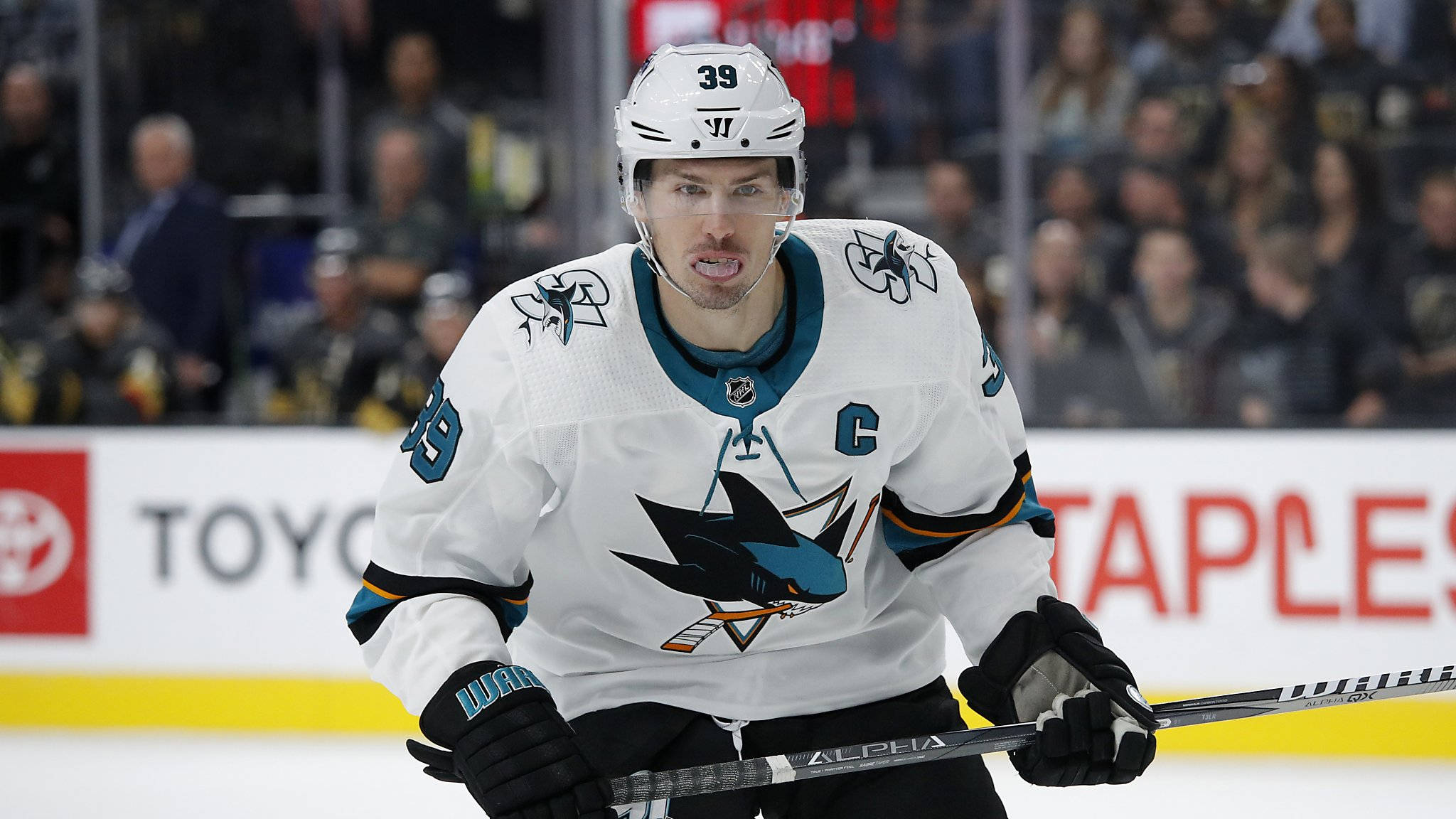 hockey 桌布 壁紙 — 冰球運動員身穿白色鯊魚隊球衣，隊長標誌「C」，在比賽中專注於冰上。