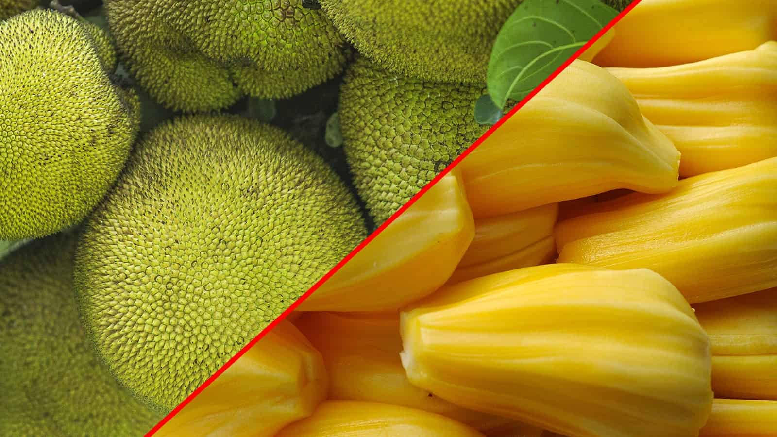 Fruits 桌布 壁紙 — 分割圖像顯示綠色帶刺的菠蘿蜜外皮和鮮黃色的可食用果肉部分。