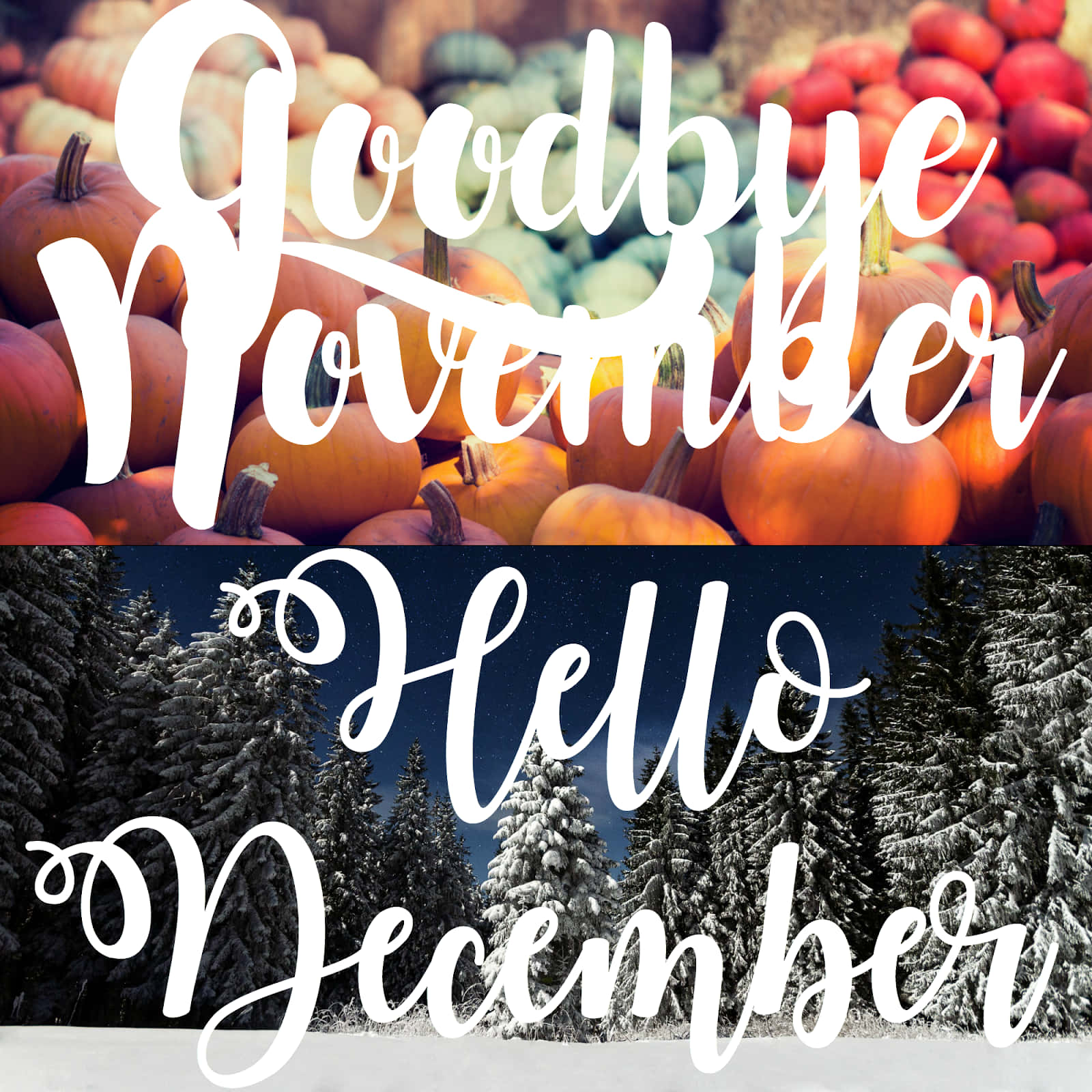 桌布 壁紙 — 分割圖片顯示秋天的南瓜，上面寫著「Goodbye November」，以及星空下雪覆蓋的松樹，上面寫著「Hello December」。