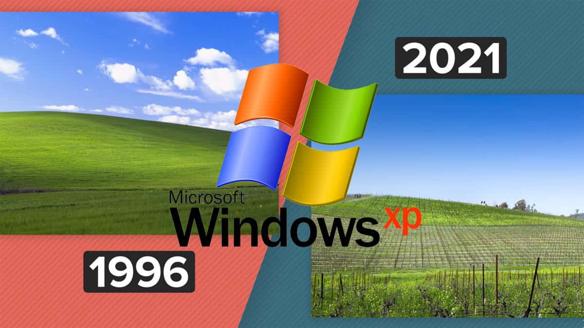 壁紙 — 分割畫面顯示Windows XP標誌性的綠色山丘桌布，旁邊是2021年葡萄園場景及年份標籤。