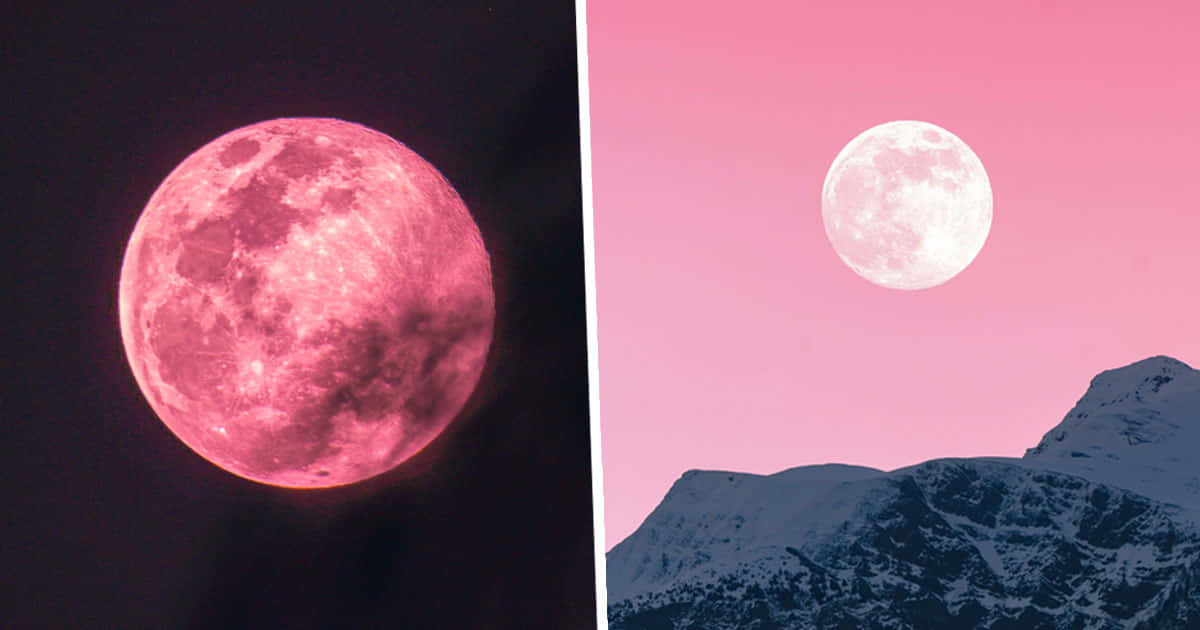 Pink Moon Real 桌布 壁紙 — 分割視圖顯示黑色天空中的發光粉紅月亮，以及粉紅天空下積雪山脈上的白色月亮。