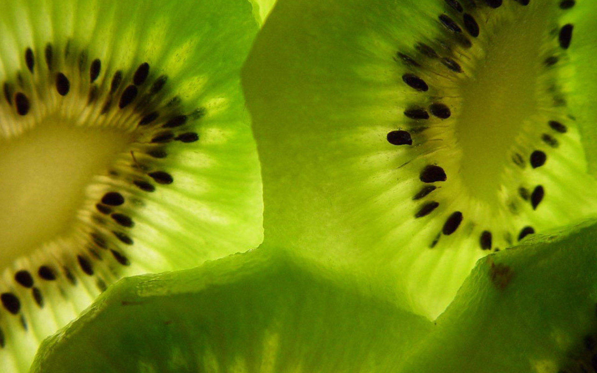 Kiwi 桌布 壁紙 — 切片奇異果的鮮明特寫，展現多汁的綠色果肉和黑色種子。
