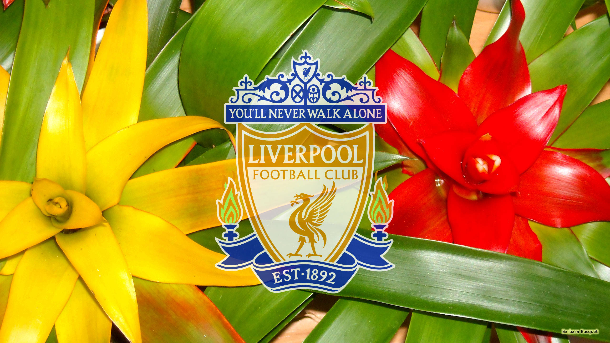 Liverpool Fc 桌布 壁紙 — 利物浦足球俱樂部隊徽置於鮮豔的黃色和紅色熱帶花卉及茂盛綠葉中央。