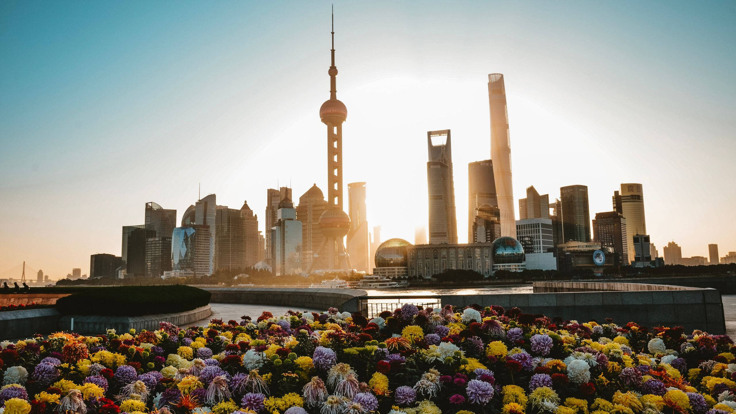 Shanghai 桌布 壁紙 — 前景中充滿活力的花壇，上海標誌性的天際線在金色日落中閃耀。