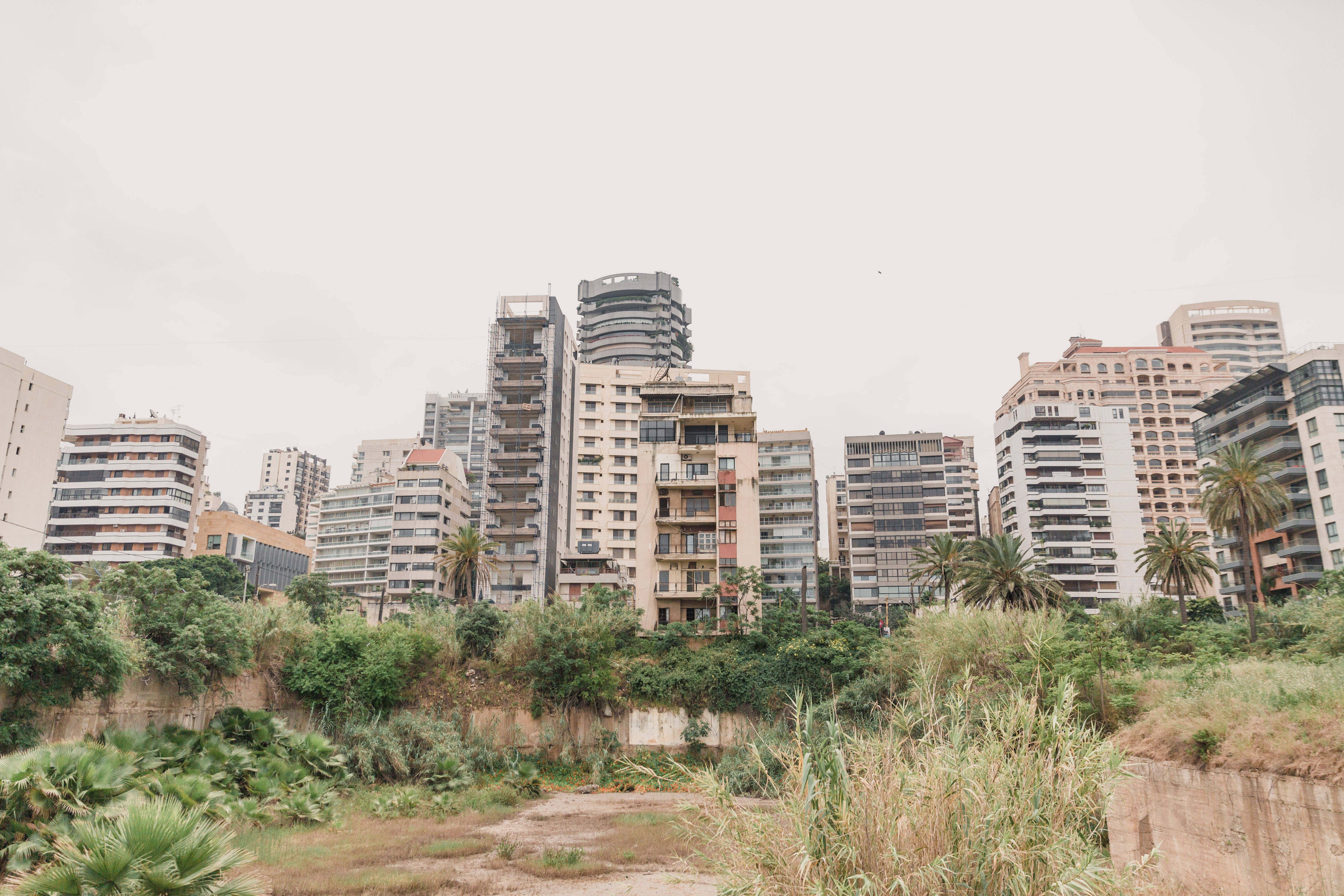 Lebanon 桌布 壁紙 — 前景的茂密植被與陰天下的密集現代高層建築形成對比。