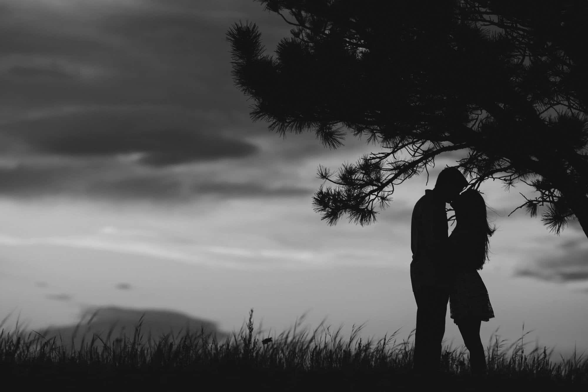 Romantic Love 桌布 壁紙 — 剪影中，一對情侶在暮色下於松樹下親吻，背景是陰雲密佈的天空。