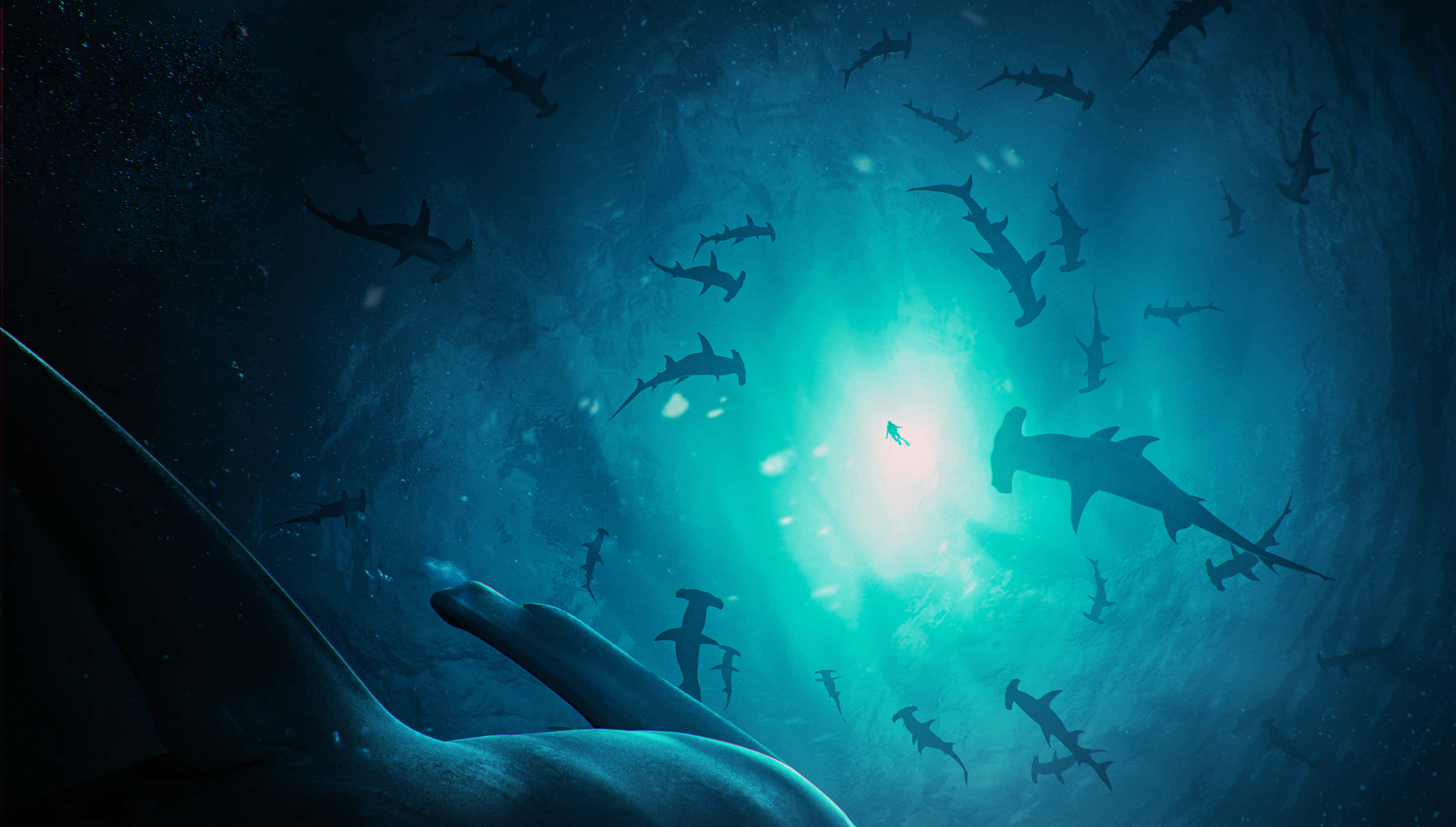 Hammerhead Shark 桌布 壁紙 — 剪影中的雙髻鯊在深藍色海洋中滑行，朝向上方明亮的陽光照射的水面。