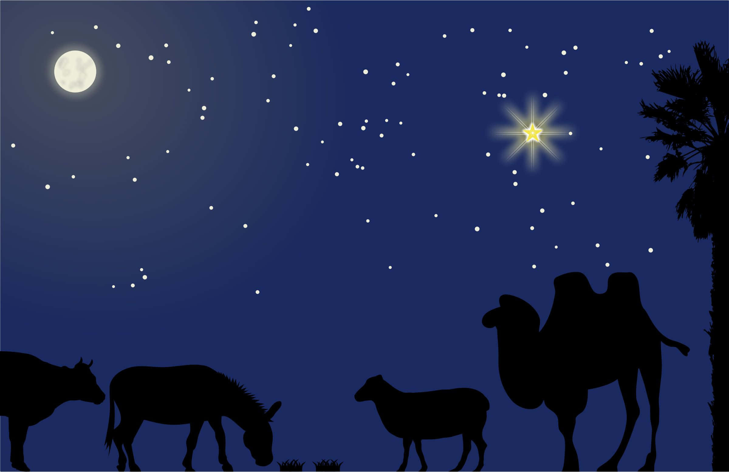 Nativity 桌布 壁紙 — 剪影動物和一隻駱駝在星空夜空下，有明亮的月亮和一顆發光的星星。