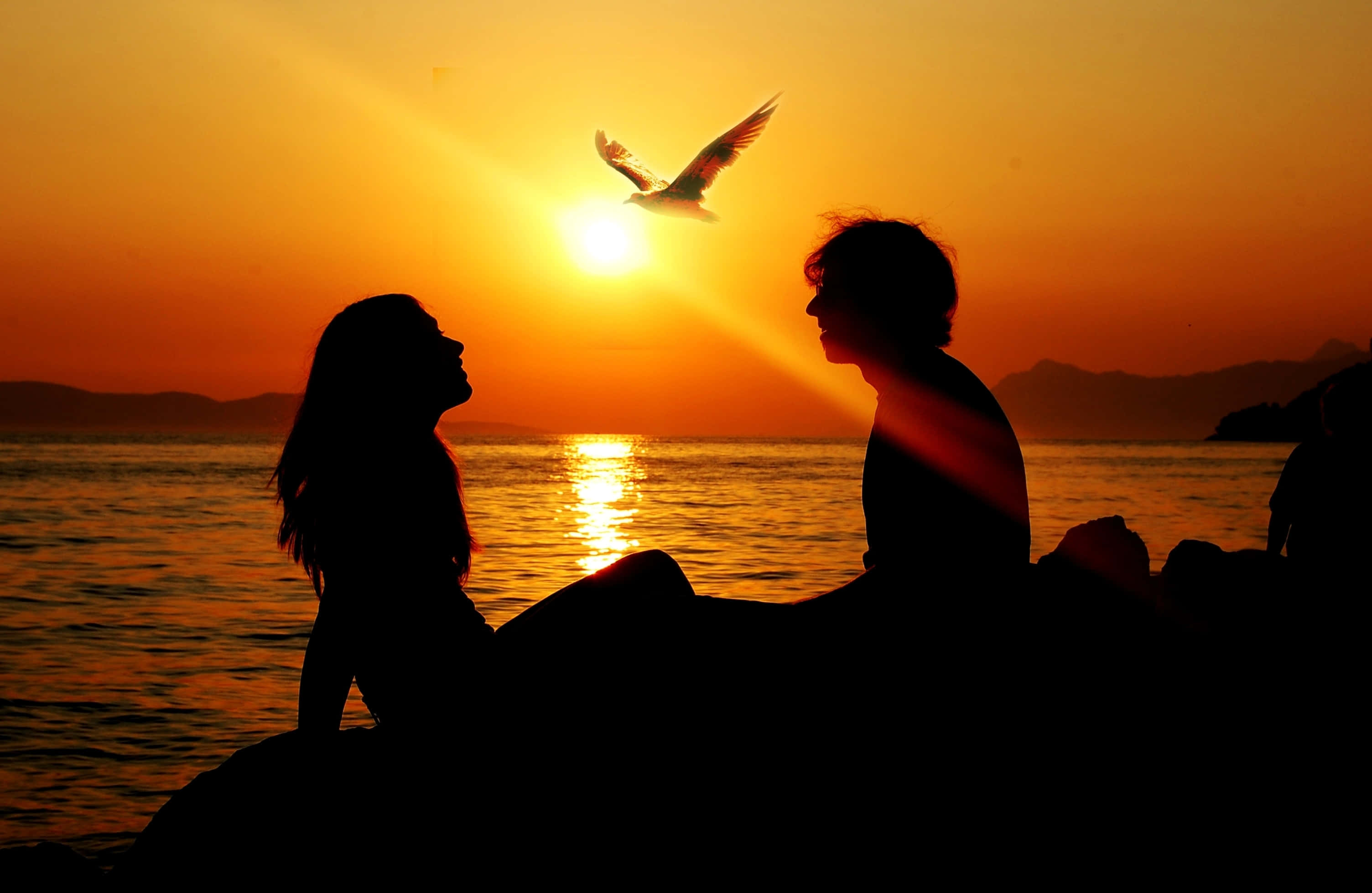 Sunset Silhouette 桌布 壁紙 — 剪影情侶凝視著一隻海鷗在平靜的水面上飛翔，背景是燦爛的日落。