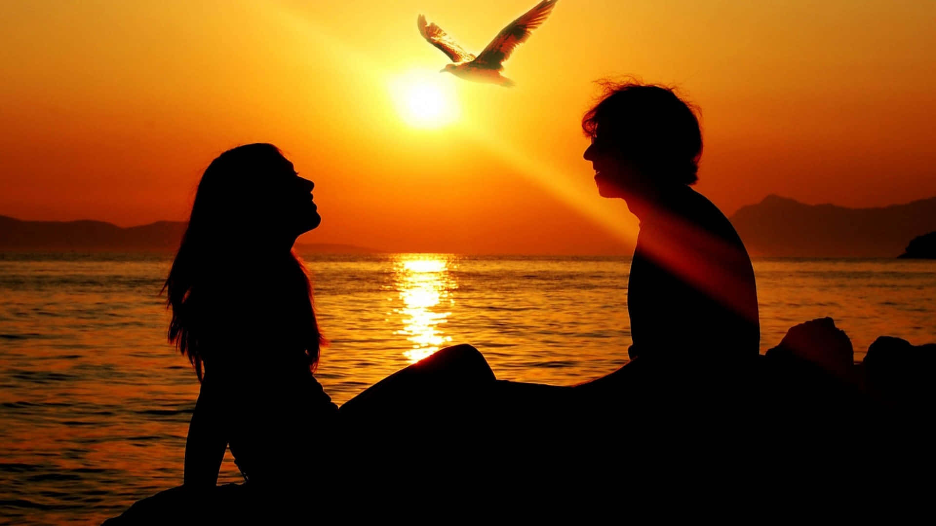 Falling In Love 桌布 壁紙 — 剪影情侶凝視著一隻海鷗在平靜的水面和遠處山丘上，迎著燦爛的夕陽飛翔。