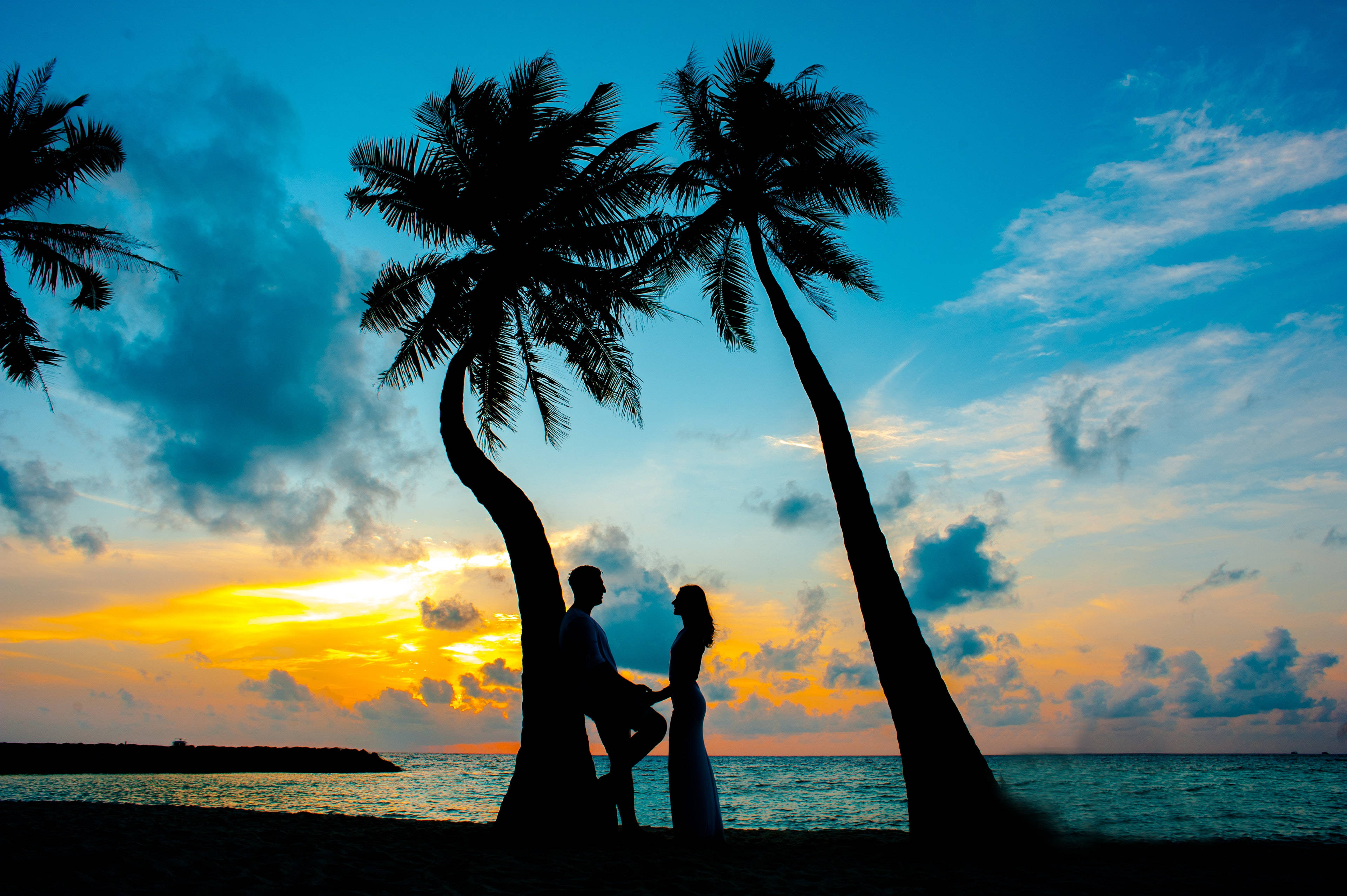 Romantic Love 桌布 壁紙 — 剪影情侶在棕櫚樹下擁抱，金色夕陽描繪天空和海洋。