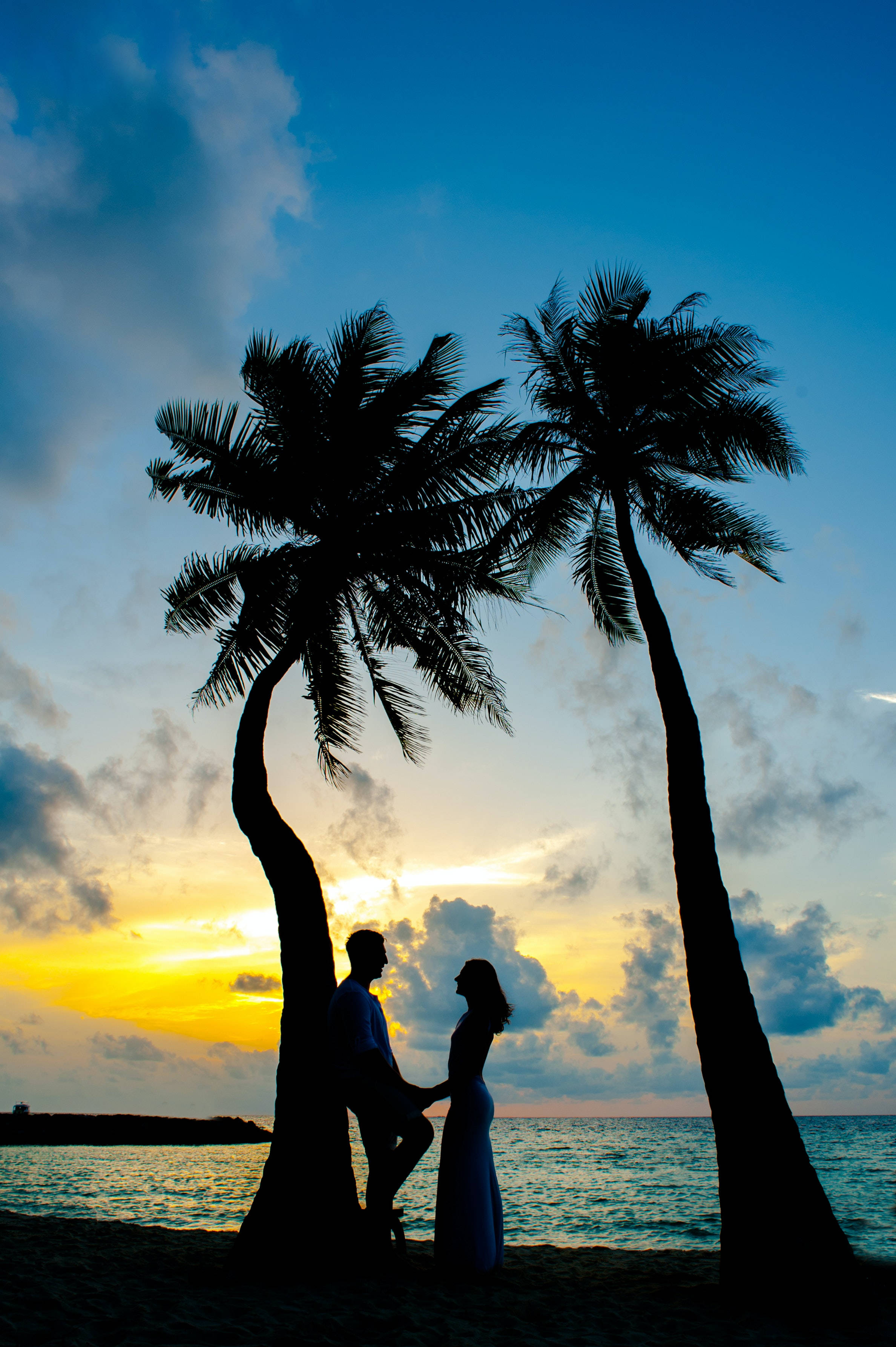 couple love 桌布 壁紙 — 剪影情侶在棕櫚樹下牽手，金色夕陽在海平線上閃耀。