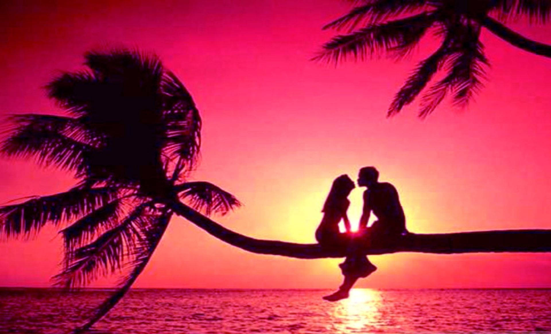 Romantic Love 桌布 壁紙 — 剪影情侶在棕櫚樹枝上接吻，背景是海洋上熾熱的粉紅色日落。