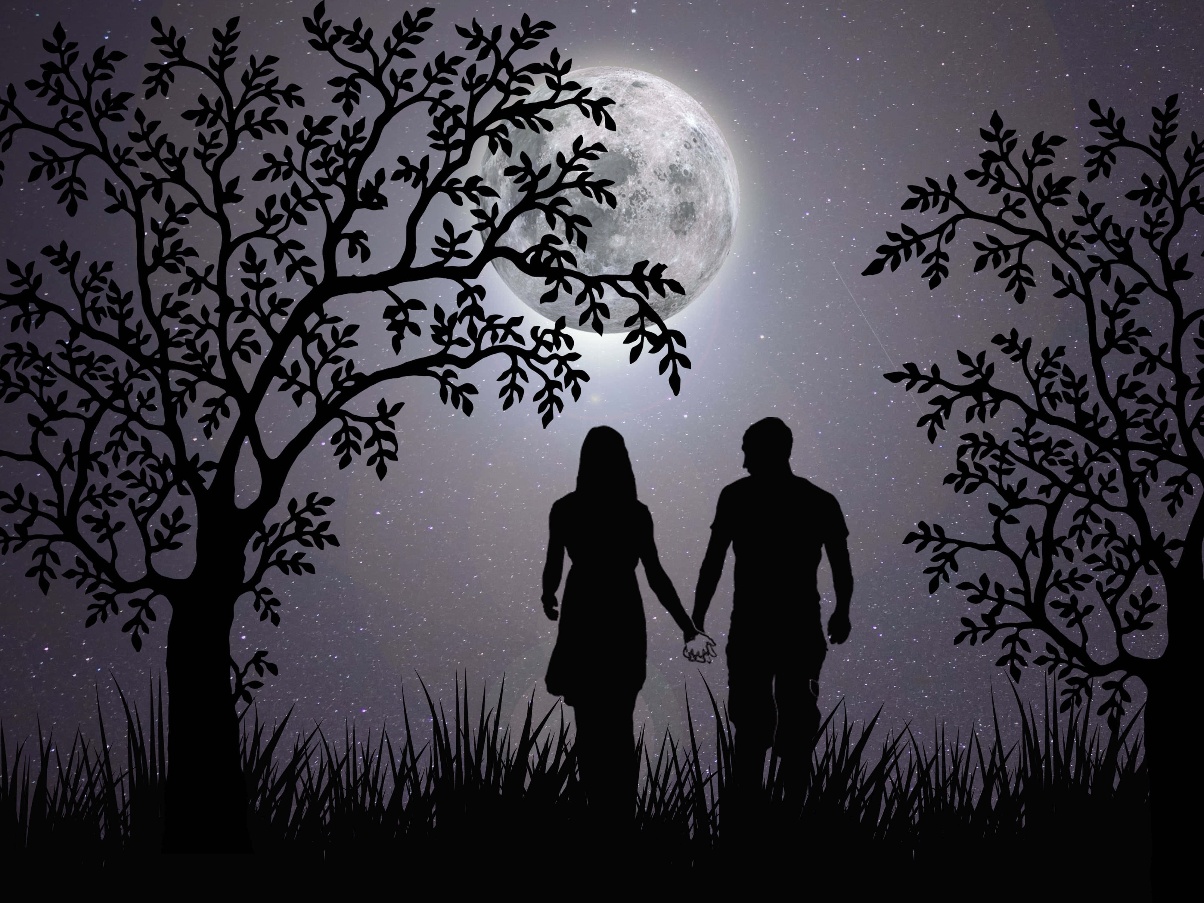 Dark Love 桌布 壁紙 — 剪影情侶在滿月下手牽手，滿月被枝葉茂密的樹木環繞，背景是繁星點點的夜空。