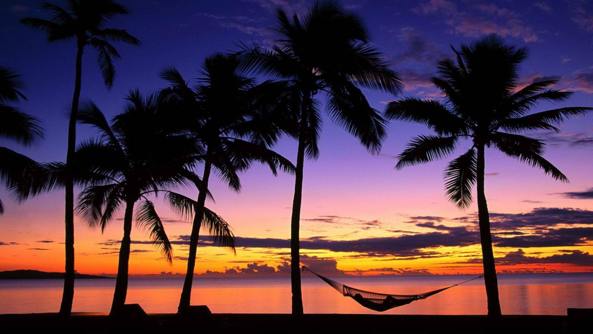Puerto Rico 桌布 壁紙 — 剪影棕櫚樹圍繞著吊床，背景是平靜海面上 vibrant 的日落天空。