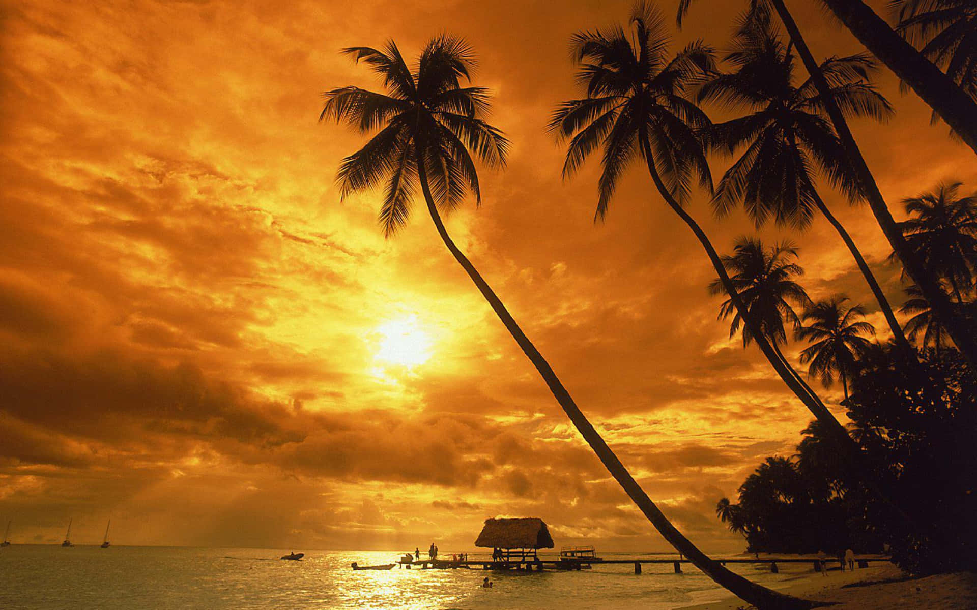 Beach Palm Trees 桌布 壁紙 — 剪影棕櫚樹在金色日落時分斜倚在寧靜的熱帶海灘上，碼頭上有間茅草小屋。