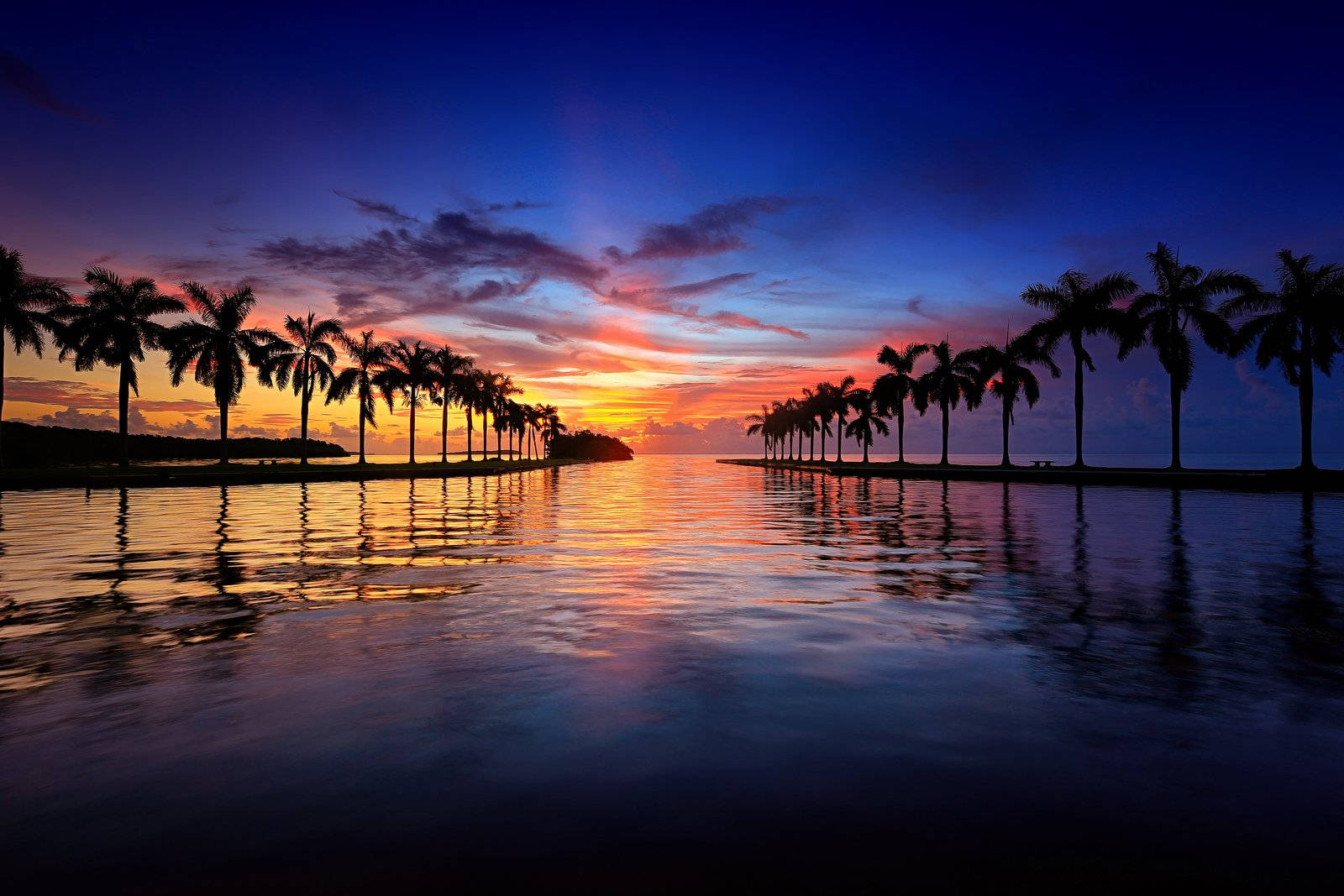 Coconut Tree 桌布 壁紙 — 剪影棕櫚樹排列在寧靜的水道旁，熾熱的夕陽將天空染成鮮豔的橙色和紫色。