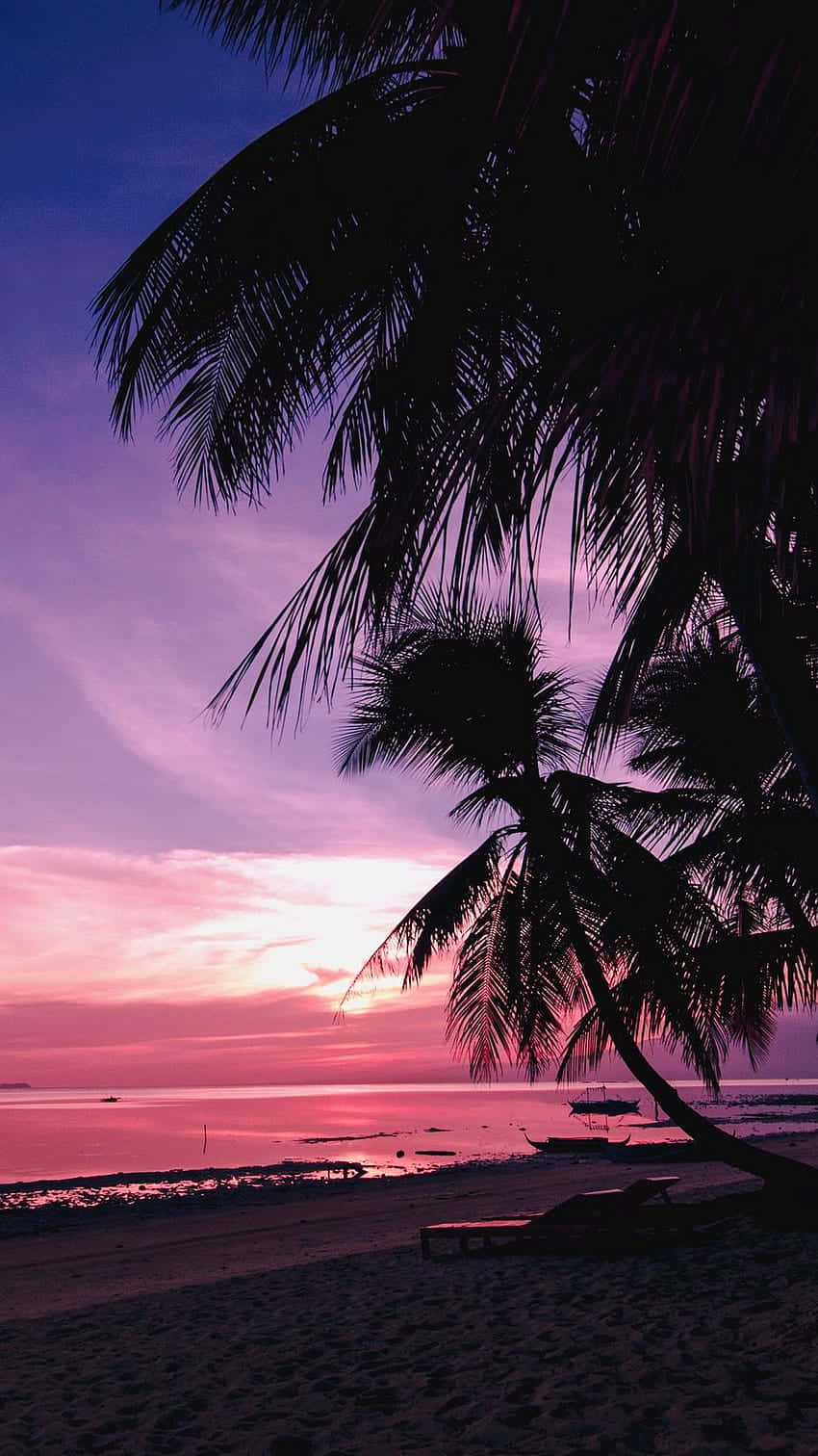 Pink Beach Sunset 桌布 壁紙 — 剪影棕櫚樹框出一個寧靜的海灘日落，充滿活力的粉紅色和紫色天空映照在平靜的水面上。